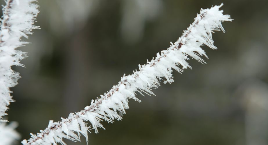 Eerste tekenen winter